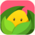 柚宝宝孕育安卓版v2.0.3